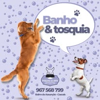 Cartaz de banho e tosquia da Barbearia do Amigo