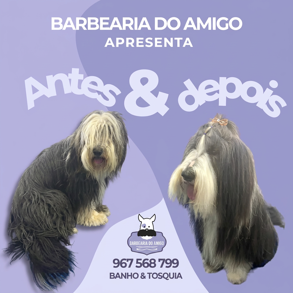 Antes e depois de uma tosquia